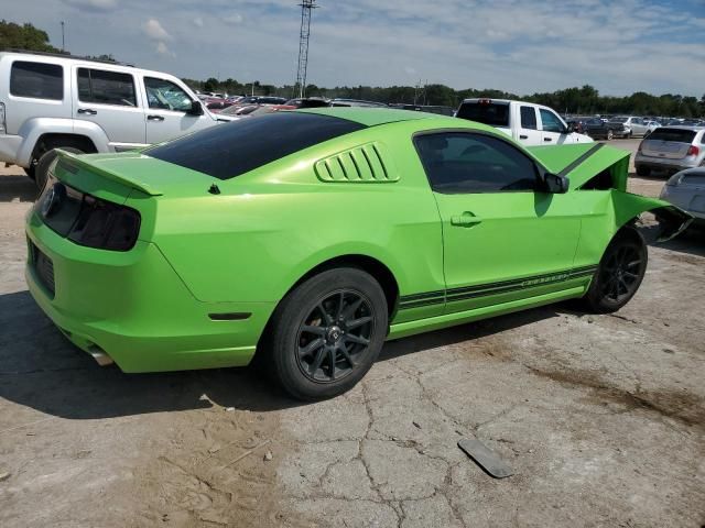 2013 Ford Mustang