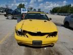 1998 Ford Mustang Cobra