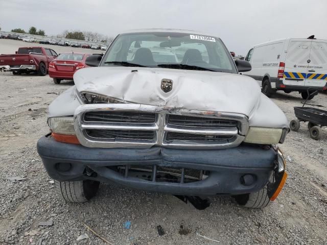 2004 Dodge Dakota SXT