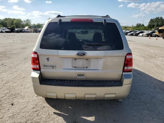 2010 Ford Escape XLT