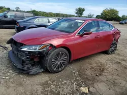 Lexus salvage cars for sale: 2024 Lexus ES 350 Base