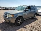 2009 Ford Escape XLT