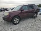 2011 Honda Pilot Exln