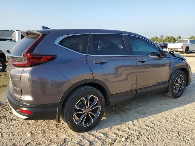 2020 Honda CR-V EXL