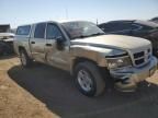 2011 Dodge Dakota SLT