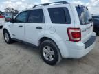 2008 Ford Escape HEV