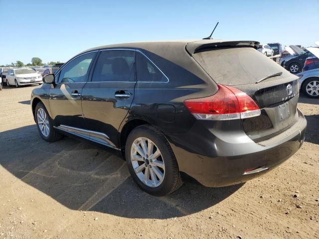 2010 Toyota Venza