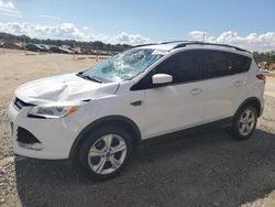 Ford Vehiculos salvage en venta: 2013 Ford Escape SE