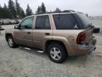 2002 Chevrolet Trailblazer