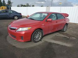 Salvage cars for sale at Portland, OR auction: 2011 Toyota Camry Hybrid