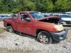 2005 Toyota Tacoma