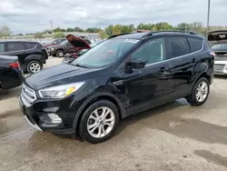 Salvage cars for sale at Louisville, KY auction: 2018 Ford Escape SE