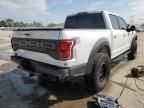 2019 Ford F150 Raptor