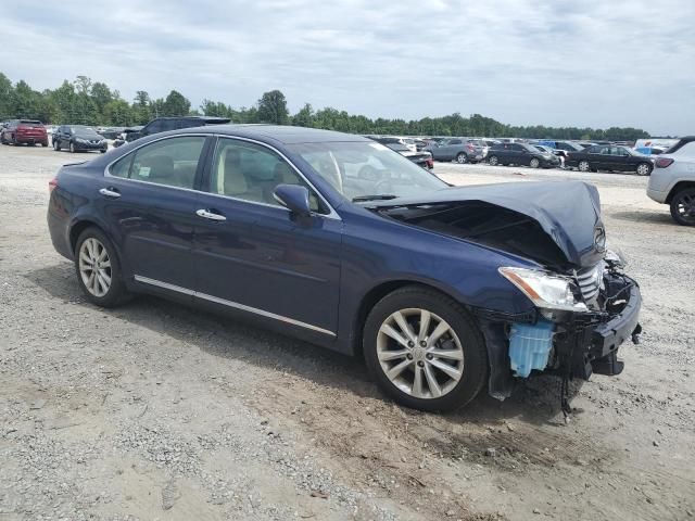 2011 Lexus ES 350