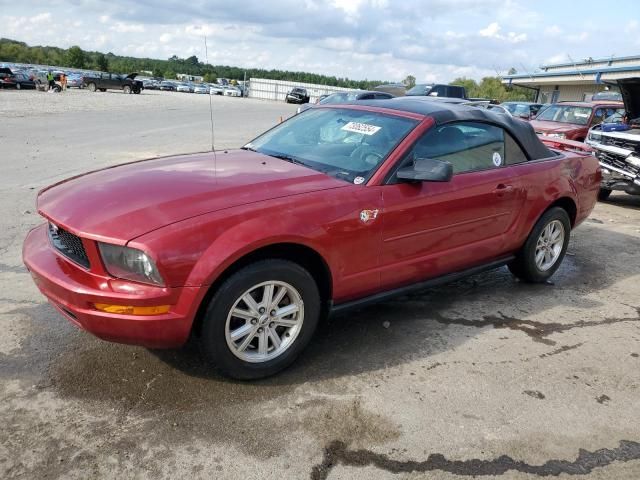 2006 Ford Mustang