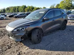 Ford Vehiculos salvage en venta: 2020 Ford Escape SEL