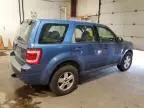 2009 Ford Escape XLS