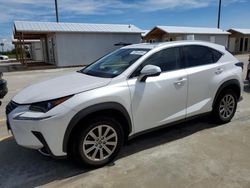 Salvage cars for sale at Riverview, FL auction: 2021 Lexus NX 300 Base