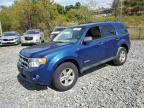 2008 Ford Escape HEV