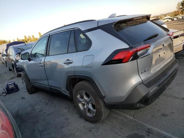 2024 Toyota Rav4 XLE