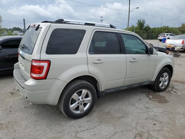 2009 Ford Escape Limited