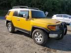 2007 Toyota FJ Cruiser