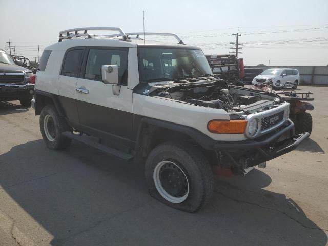 2010 Toyota FJ Cruiser