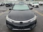 2017 Honda Accord EXL