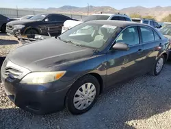 Toyota salvage cars for sale: 2010 Toyota Camry Base