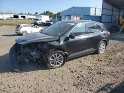 Salvage cars for sale at Pennsburg, PA auction: 2020 Ford Escape SE