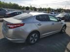 2013 KIA Optima Hybrid