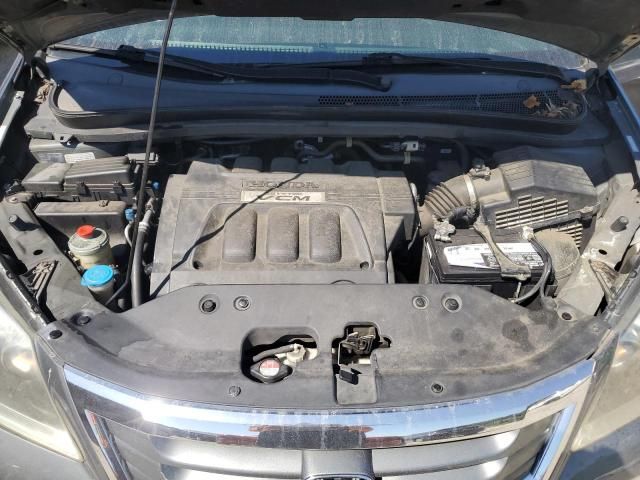 2008 Honda Odyssey EXL