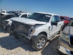 Salvage cars for sale at Taylor, TX auction: 2023 Ford F150 Supercrew