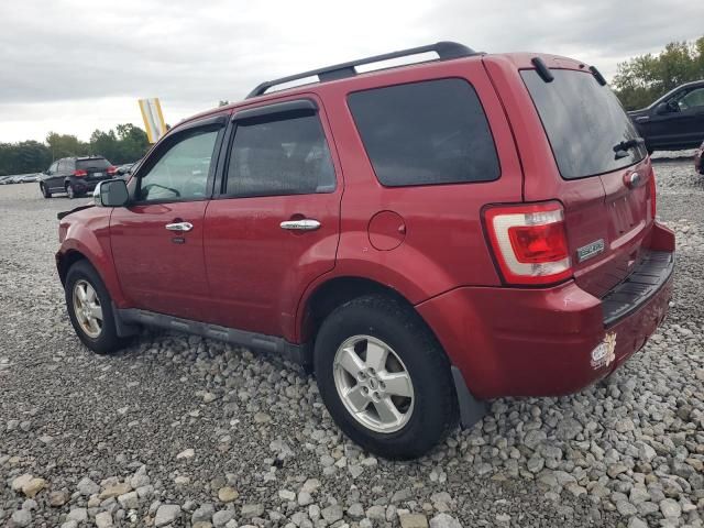 2012 Ford Escape XLT