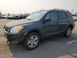 Salvage cars for sale at Rancho Cucamonga, CA auction: 2010 Toyota Rav4