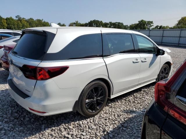 2023 Honda Odyssey SPORT-L