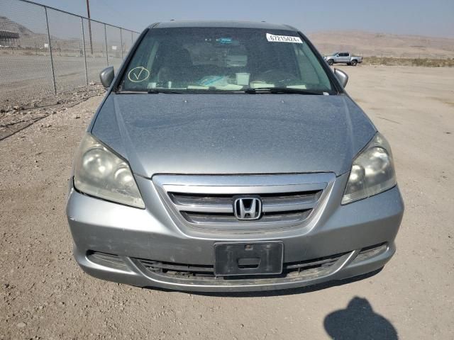 2005 Honda Odyssey EXL