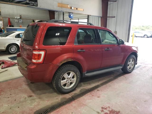 2012 Ford Escape XLT