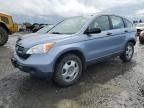 2007 Honda CR-V LX