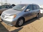 2008 Honda Odyssey EXL