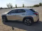 2019 Lexus UX 250H