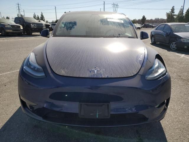 2020 Tesla Model Y