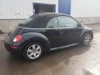 2007 Volkswagen New Beetle Convertible Option Package 1