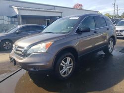 Salvage cars for sale at New Britain, CT auction: 2011 Honda CR-V EX