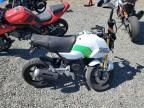 2025 Honda Grom 125