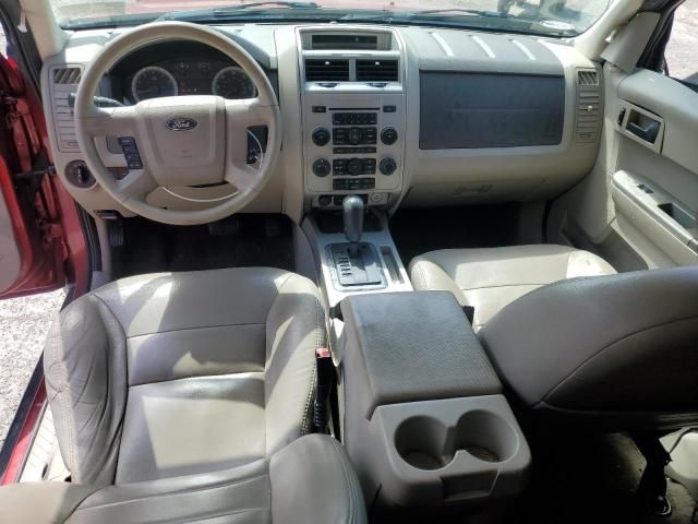 2008 Ford Escape XLT