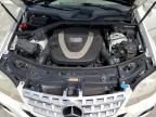 2010 Mercedes-Benz ML 350