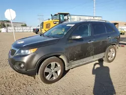 Salvage cars for sale at Bismarck, ND auction: 2013 KIA Sorento EX