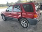 2005 Ford Escape XLT