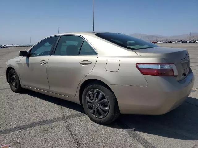 2008 Toyota Camry Hybrid